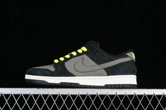 Nike Dunk Low SB Skateboarding Shoes - 302517-236